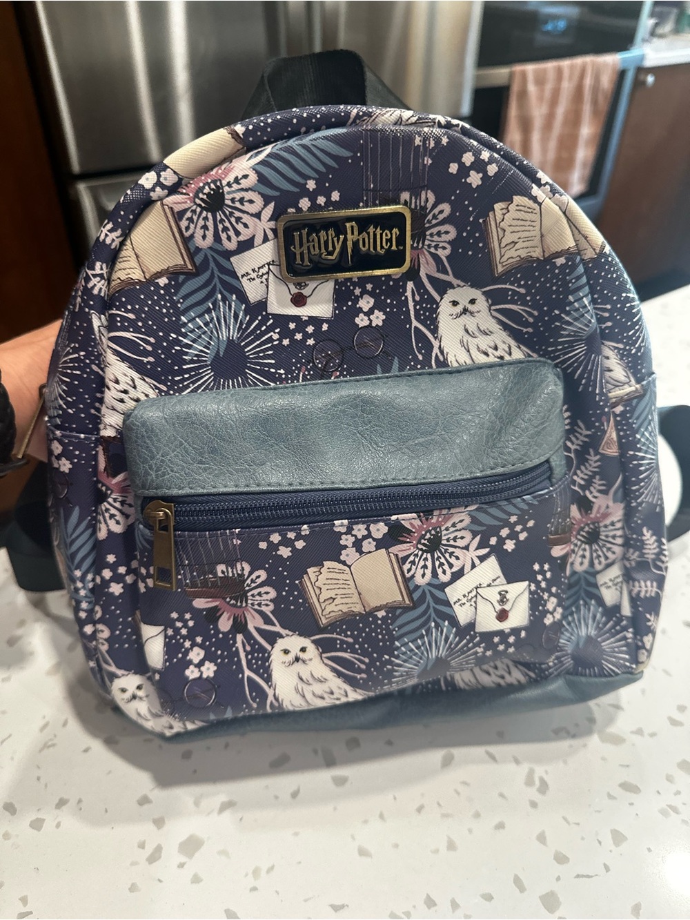 Warner Bros. Harry Potter Owl Pattern Small Backpack